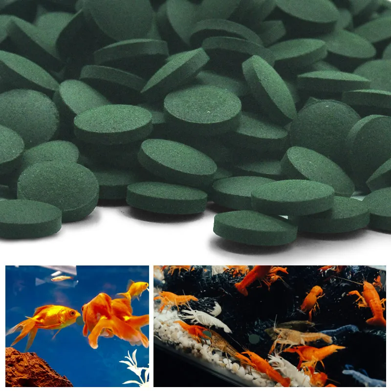 Aquarium Fish Holiday Food - 100pcs 고순도 스피루리나 정제 나선형 해초