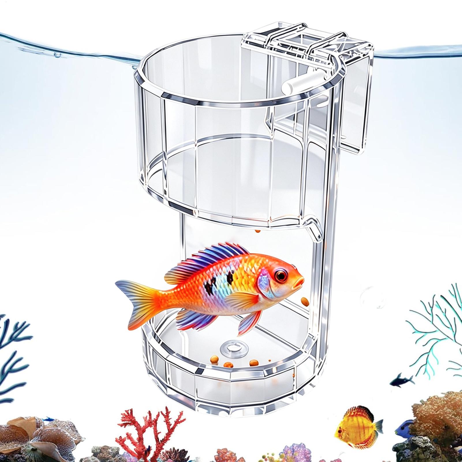 Aquarium Fish Holiday Food - 수족관 먹이통 투명한 음식 그릇 홀더