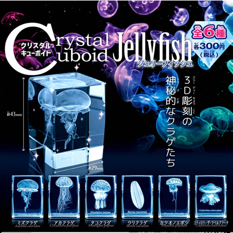 Aquarium Fish Discus - 일본 가샤폰 해파리 3D 크리스탈 직육면체