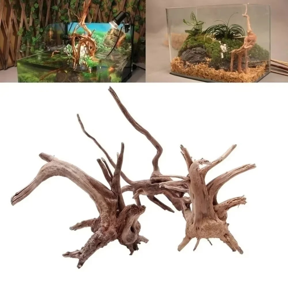 Aquarium Fish Types - (15-20cm) 천연 유목 수족관 장식 -