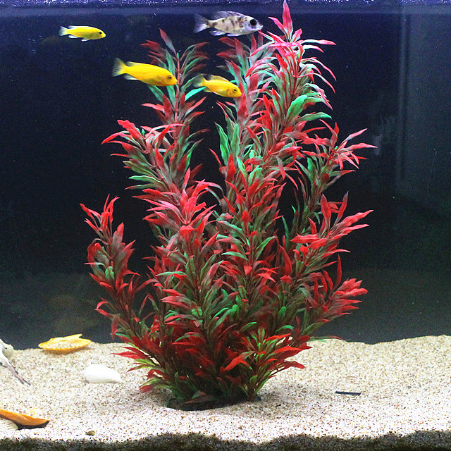 Aquarium Fish Types - 50CM 인조 어항 희귀 식물 수족관