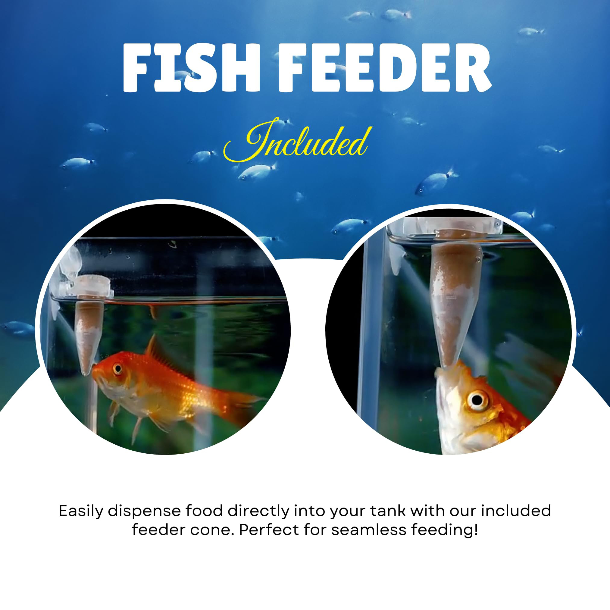 어항 아기 물고기를 위한 완벽한 브라인쉬림프 알 & 먹 - Aquarium Fish Holiday Food 리뷰 및 가격