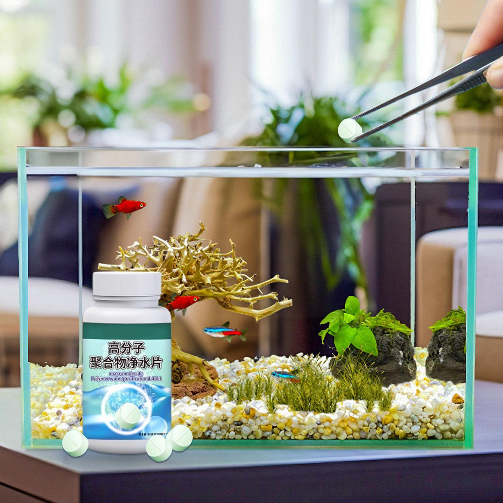 어항 물 정화제 알개 제거제 타블렛, 분수, 베타, 새 - Aquarium Fish Care 리뷰 및 가격