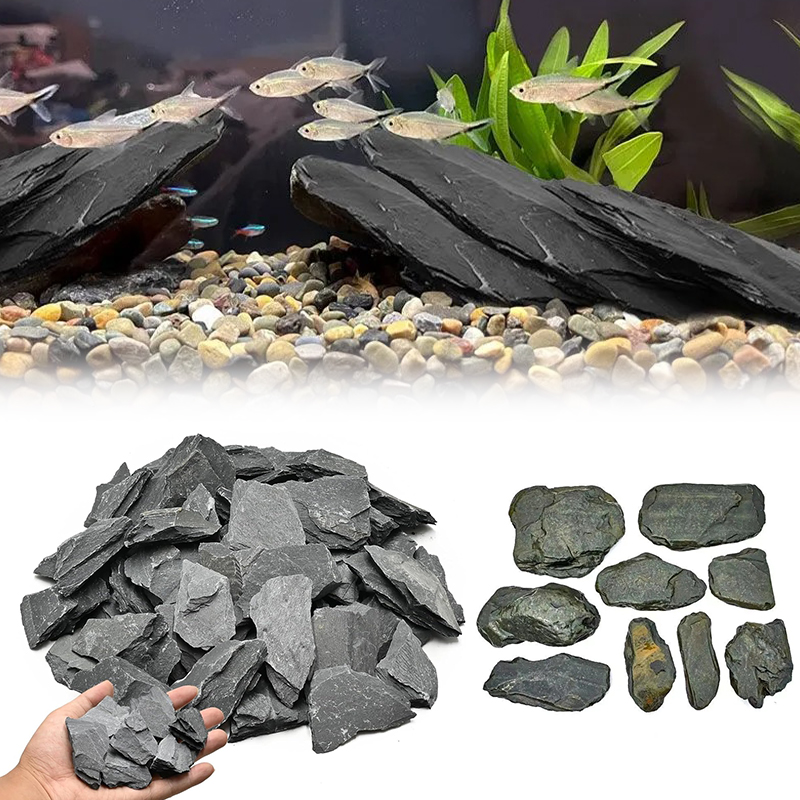 500/1000g 어항 조경석 키트 슬레이트 석재 테라 - Aquarium Fish Types 리뷰 및 가격