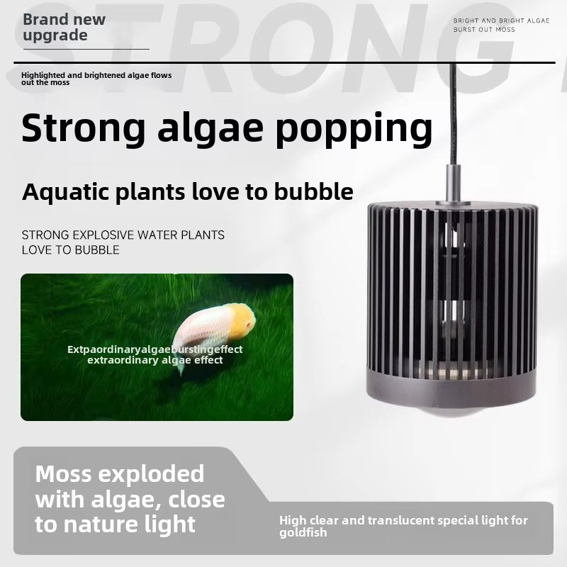 스카이누오 슈퍼 컬러 100W 담수 금붕어 다운라이트  - Aquarium Fish Colour 리뷰 및 가격