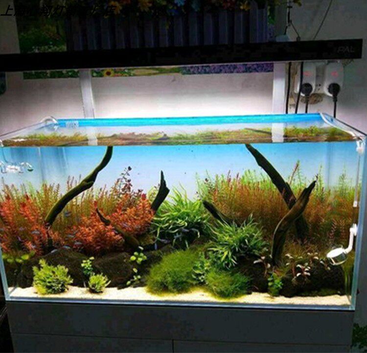 RGB 아크릴 어항 배경 화려한 그라데이션 발광 APP - Aquarium Fish Colour 리뷰 및 가격