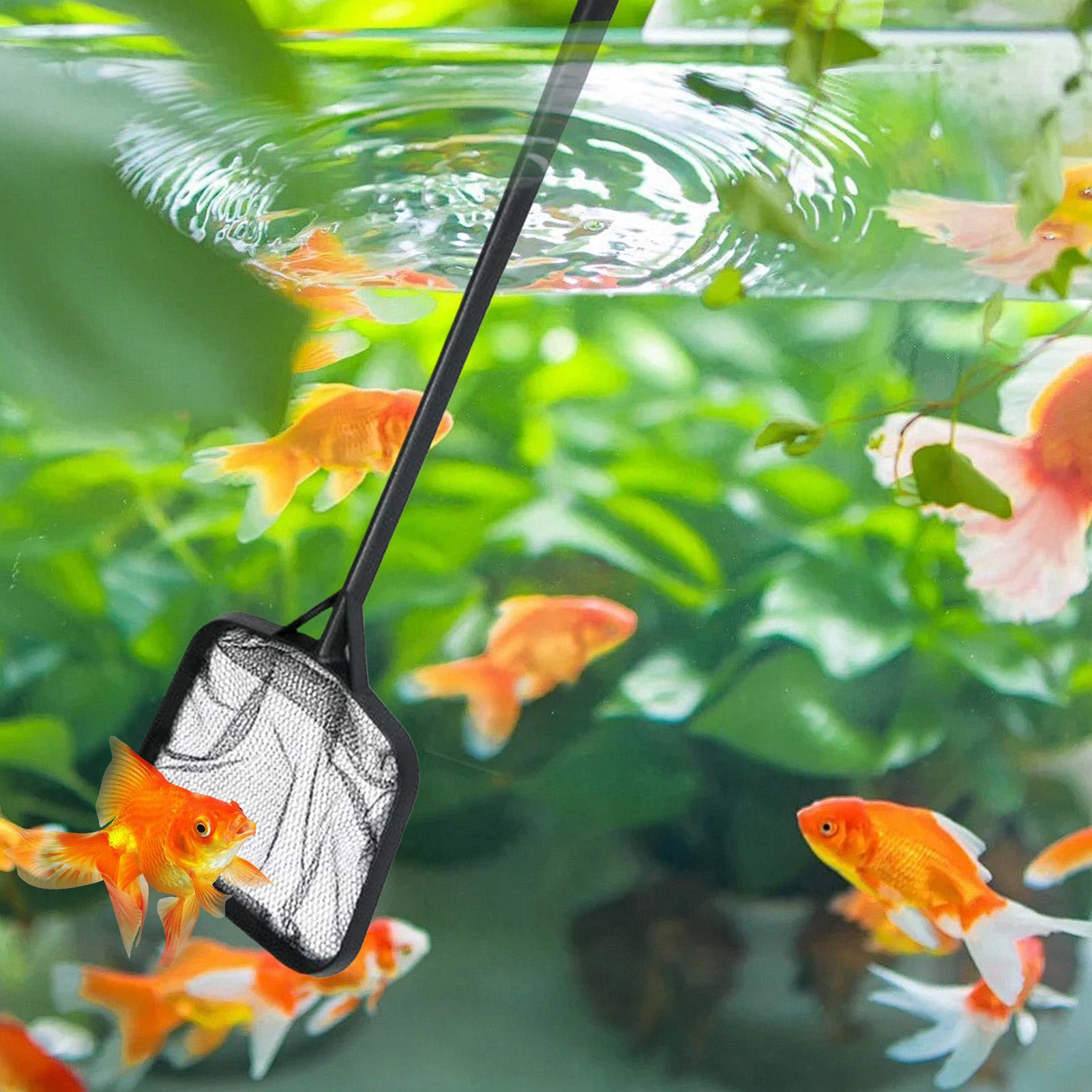 휴대용 수영장 청소용 그물망, 분수 청소용품, 수족관/ - Aquarium Fish Care 리뷰 및 가격