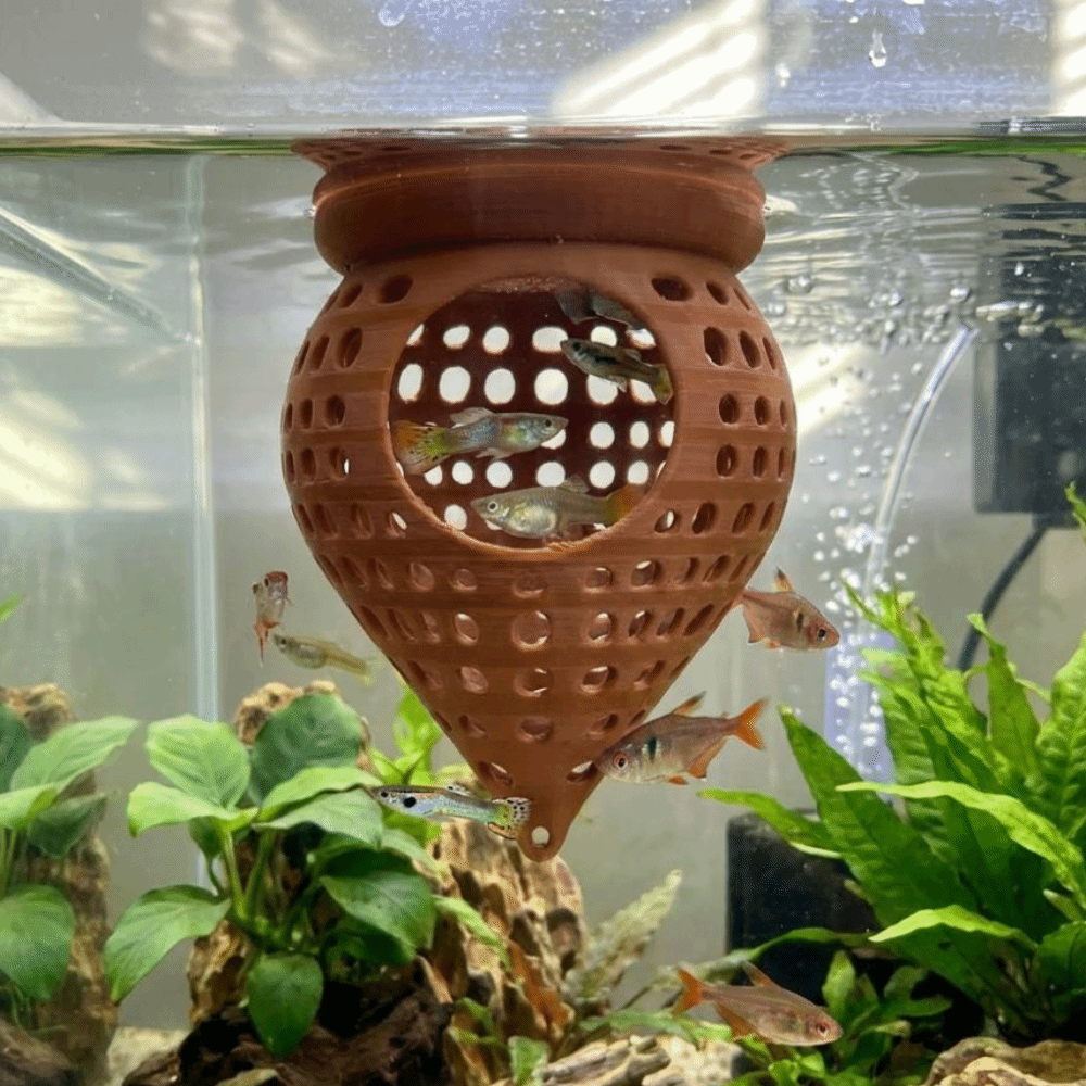 3D 프린팅된 물고기 해먹 은신처, 속이 빈 수족관 휴 - Aquarium Fish Hideout 리뷰 및 가격