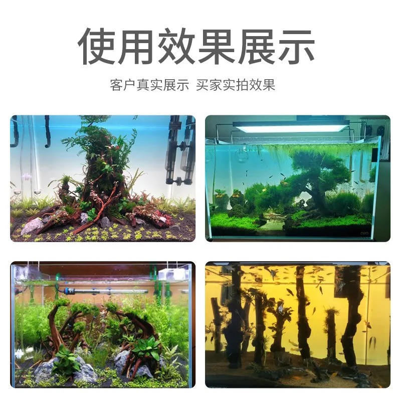 아크릴 어항 배경 RGB 컬러풀 그라데이션 발광 앱 제 - Aquarium Fish Colour 리뷰 및 가격