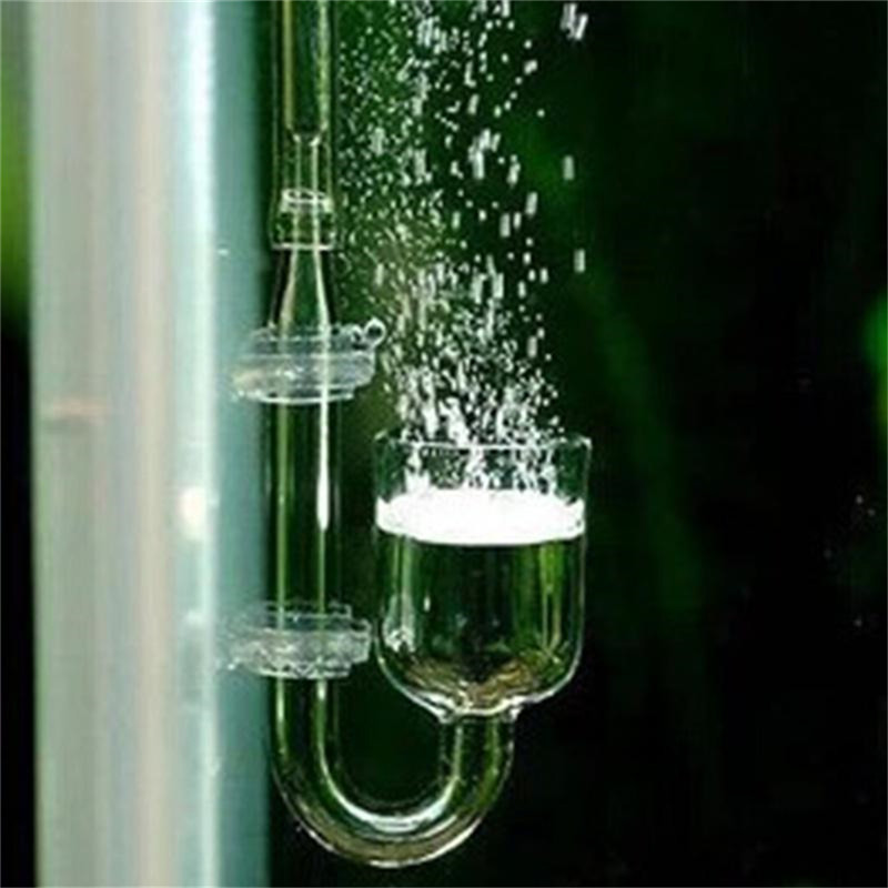 유리 U자형 CO2 디퓨저 (어항용) 이산화탄소 반응기 - Aquarium Fish Discus 리뷰 및 가격
