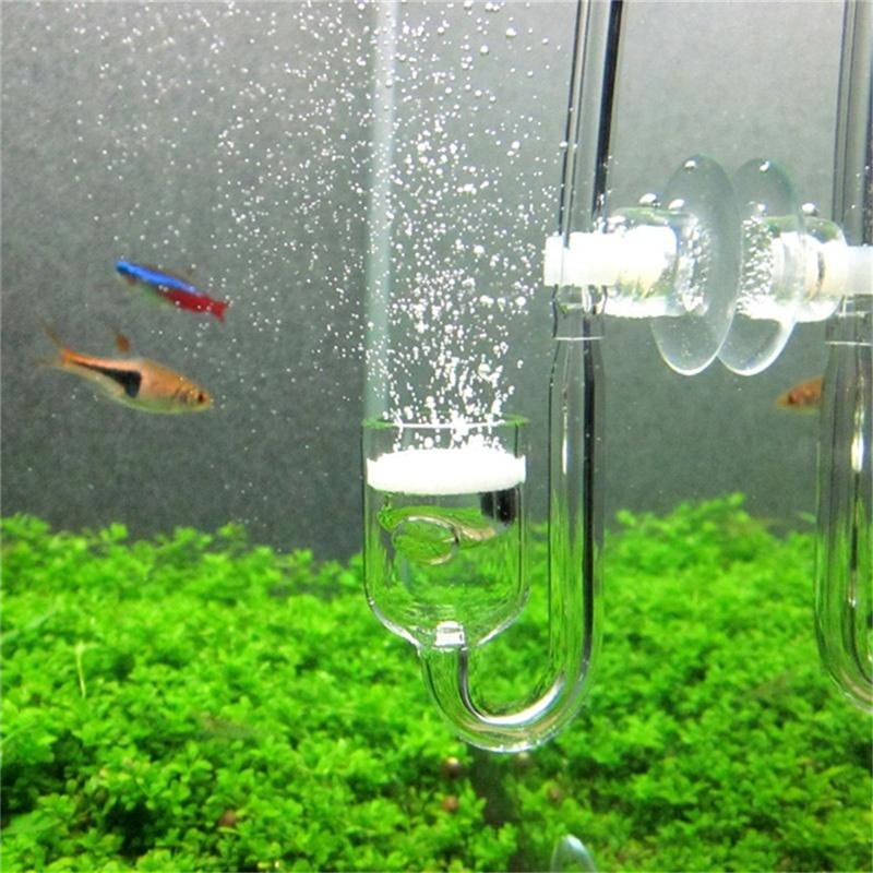 유리 U자형 CO2 디퓨저 (어항용) 이산화탄소 반응기 - Aquarium Fish Discus 리뷰 및 가격
