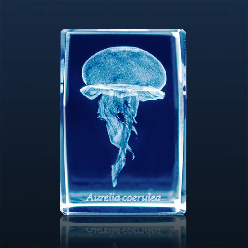 일본 가샤폰 해파리 3D 크리스탈 직육면체 바위 어항  - Aquarium Fish Discus 리뷰 및 가격