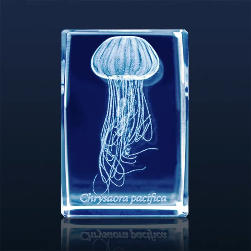 일본 가샤폰 해파리 3D 크리스탈 직육면체 바위 어항  - Aquarium Fish Discus 리뷰 및 가격
