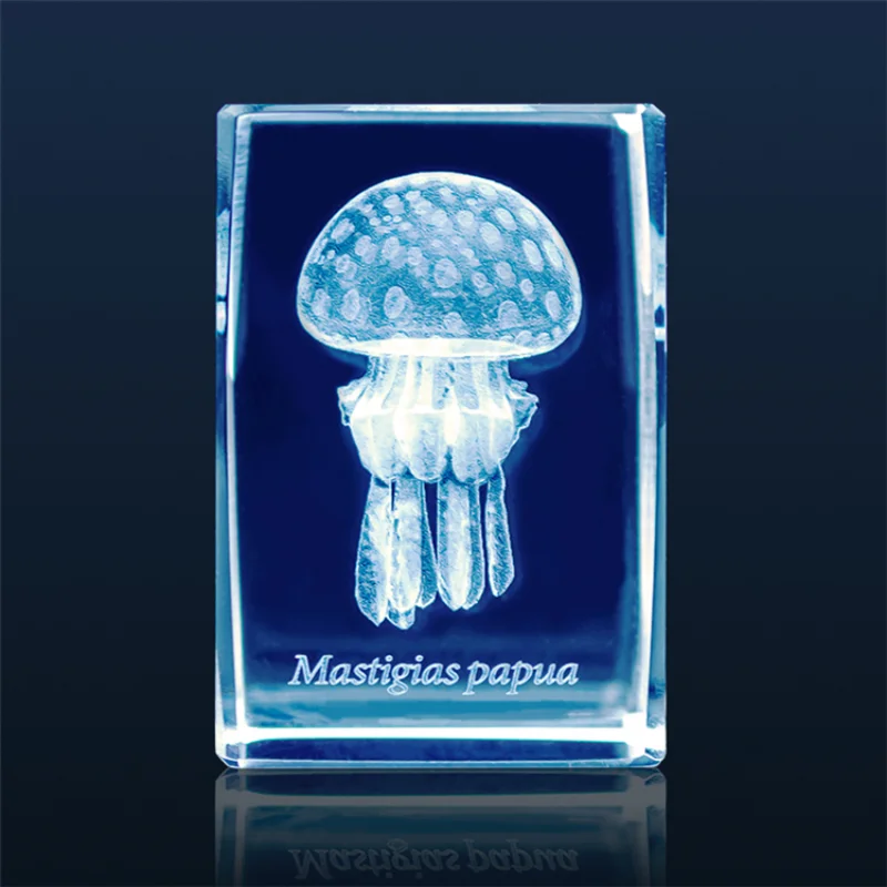 일본 가샤폰 해파리 3D 크리스탈 직육면체 바위 어항  - Aquarium Fish Discus 리뷰 및 가격