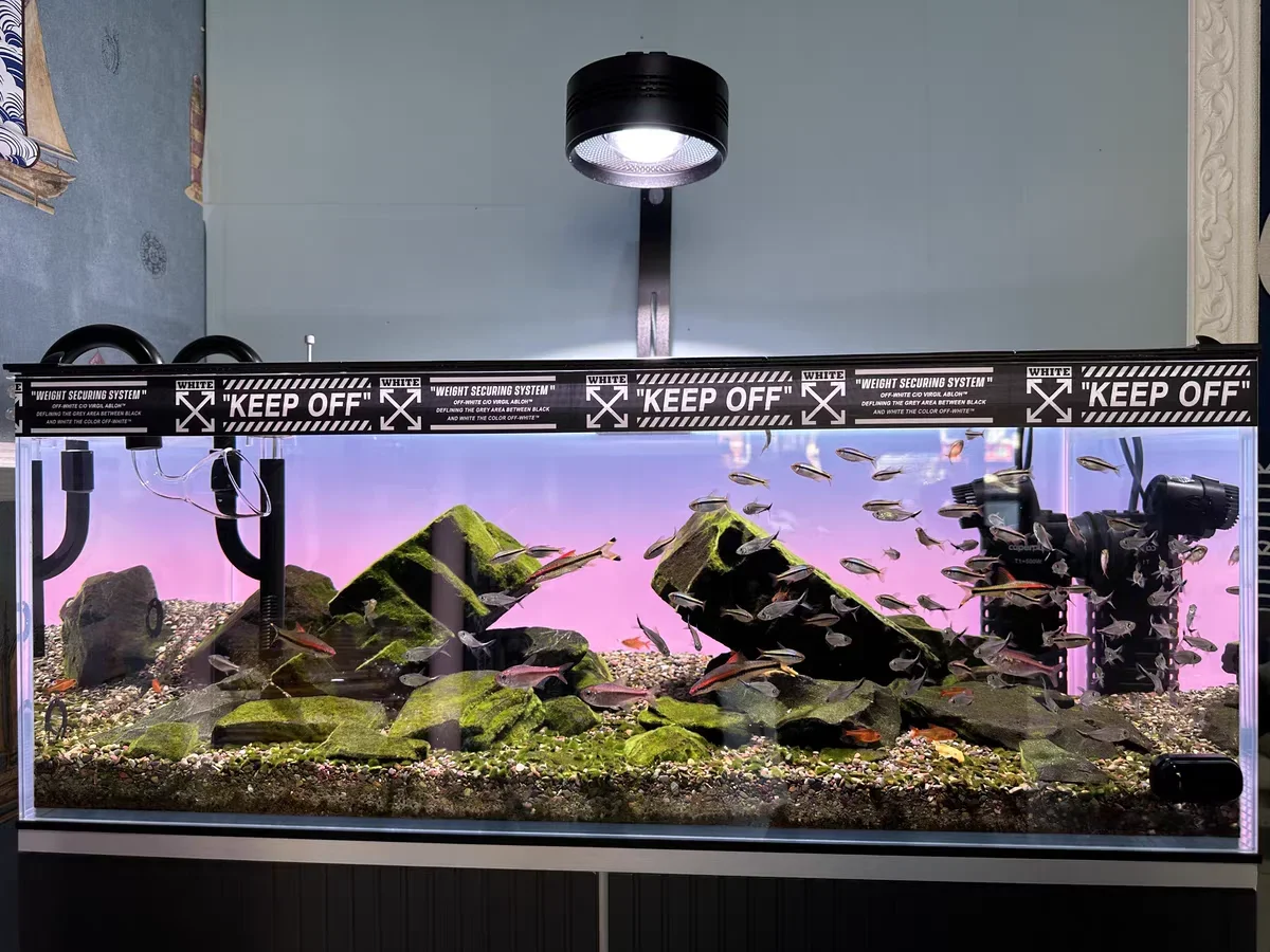 RGB 아크릴 어항 배경 화려한 그라데이션 발광 APP - Aquarium Fish Colour 리뷰 및 가격
