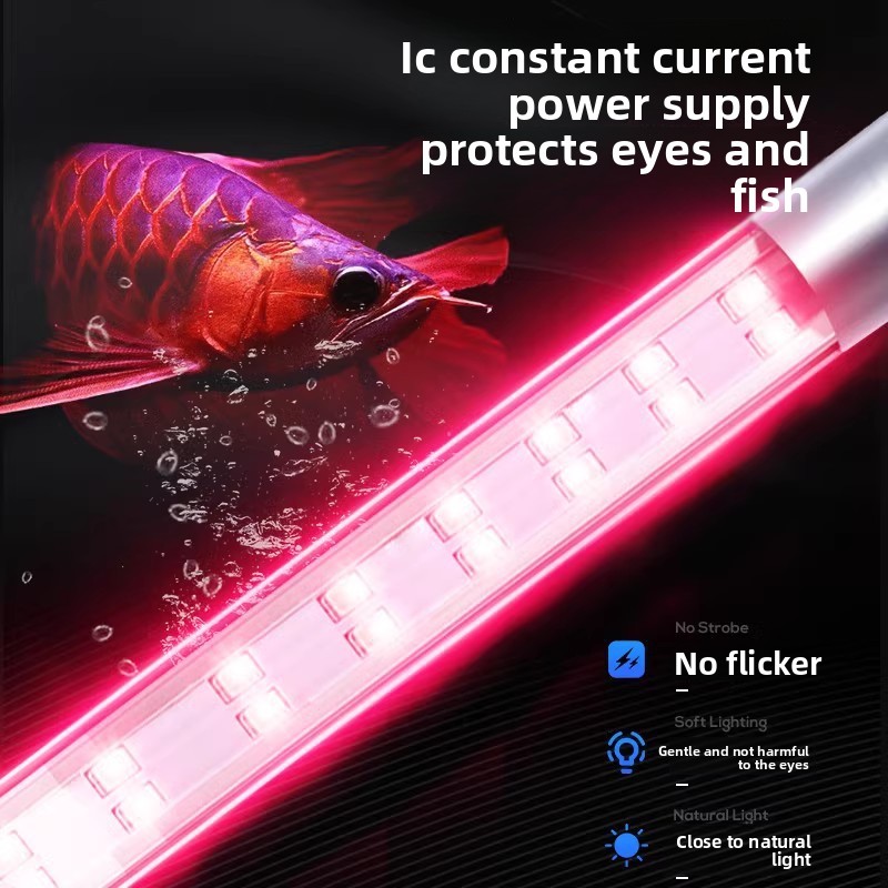 풀 스펙트럼 LED 수족관 조명, 색상 강화를 위한 수 - Aquarium Fish Discus 리뷰 및 가격