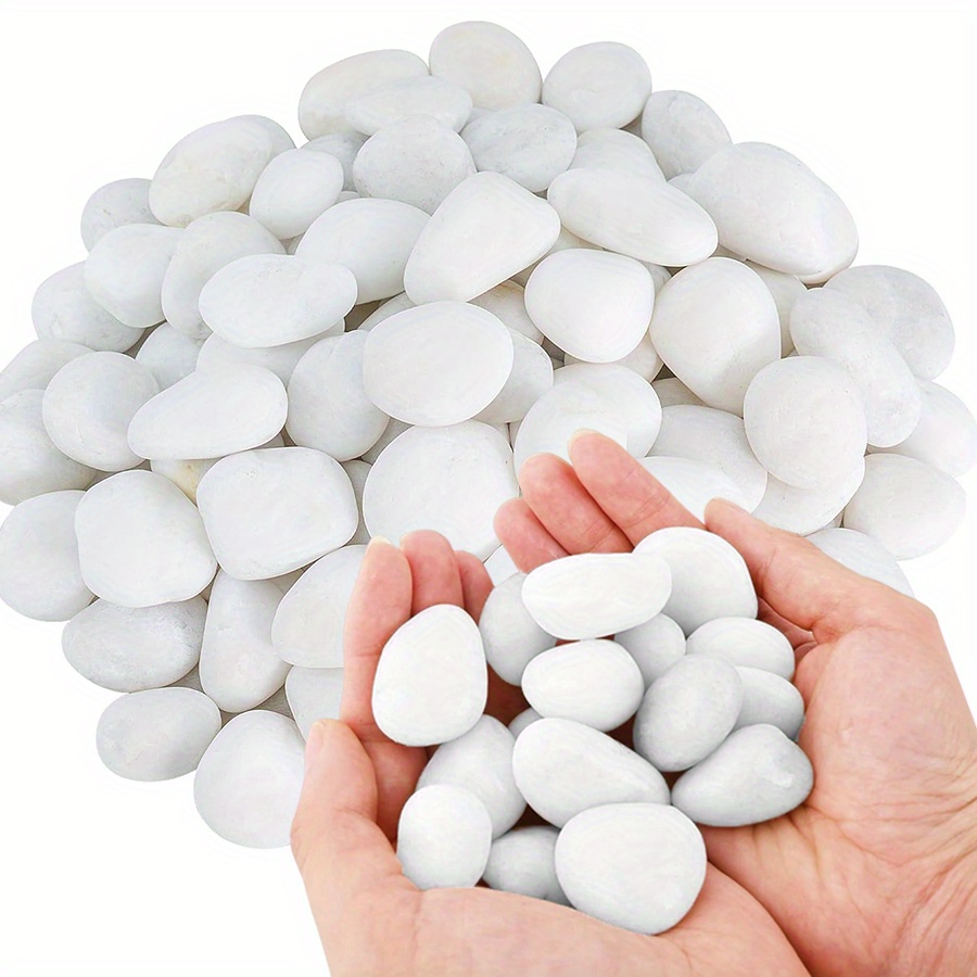 200/400g 흰색 고광택 천연 자갈 2-3cm 마당 - Aquarium Fish Types 리뷰 및 가격