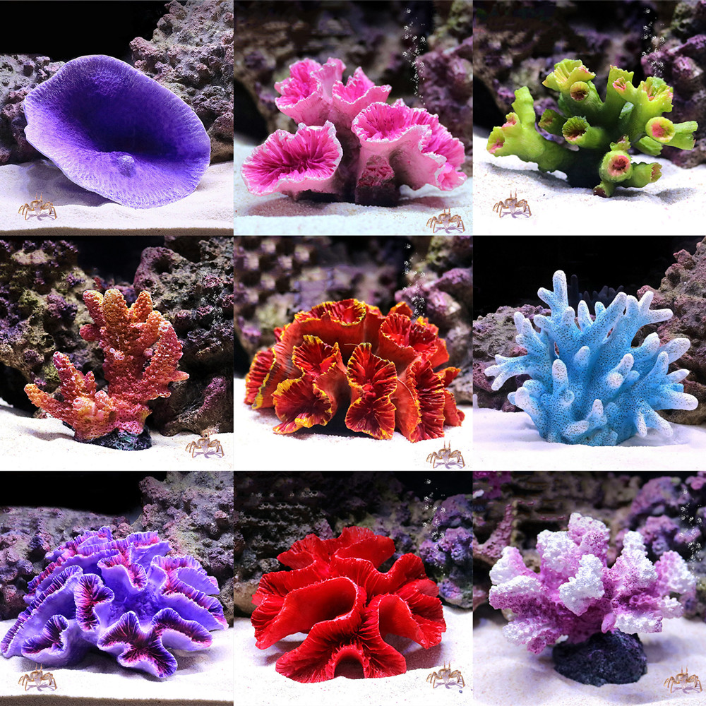 인공 송진 산호초 수족관 장식, 조경 어항 장식, 가정 - Aquarium Fish Discus 리뷰 및 가격