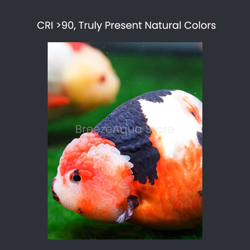 MAYIN 슈퍼 컬러 100W 담수 금붕어 조류 방지  - Aquarium Fish Colour 리뷰 및 가격