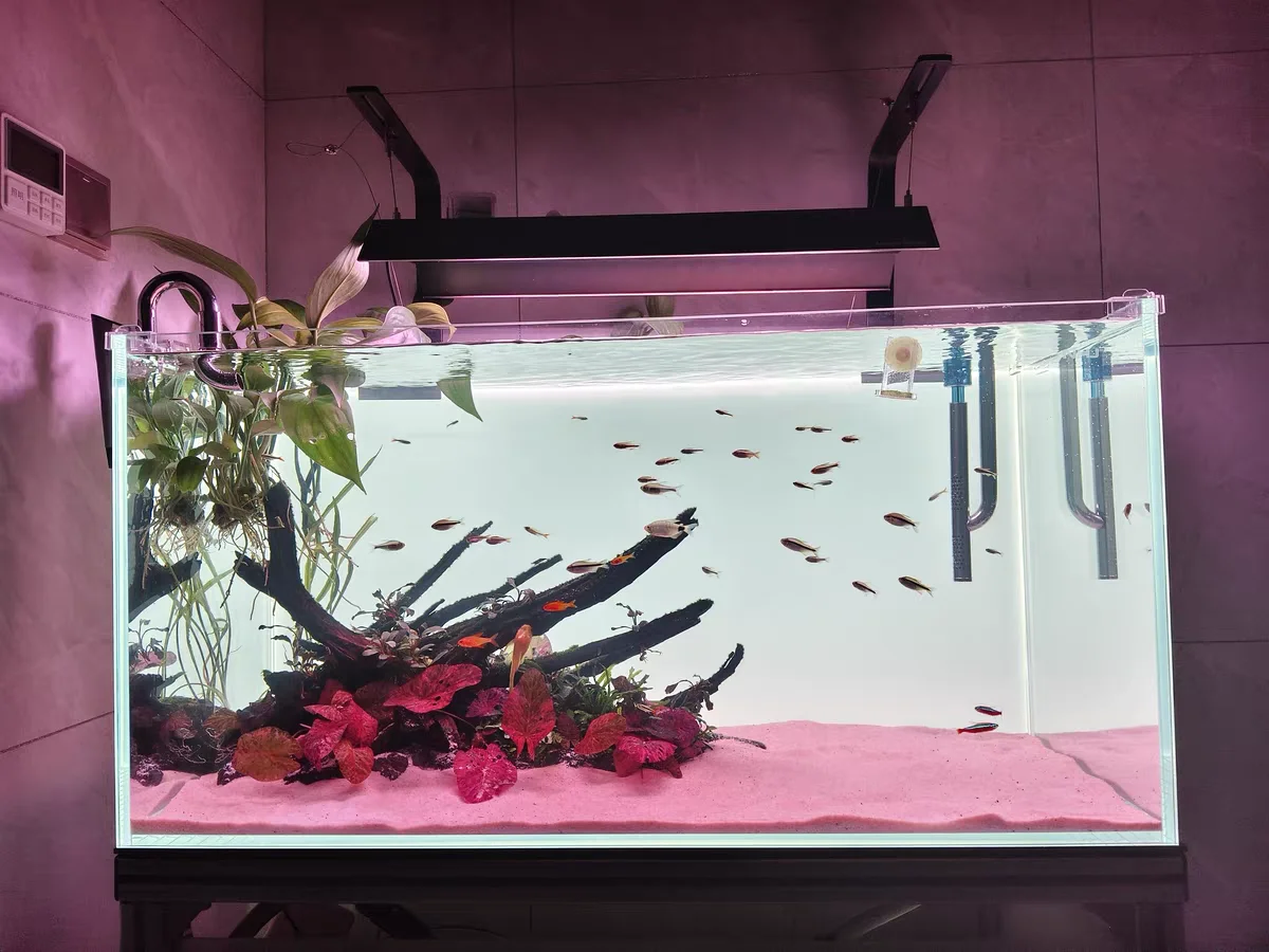 RGB 아크릴 어항 배경 화려한 그라데이션 발광 앱 제 - Aquarium Fish Colour 리뷰 및 가격