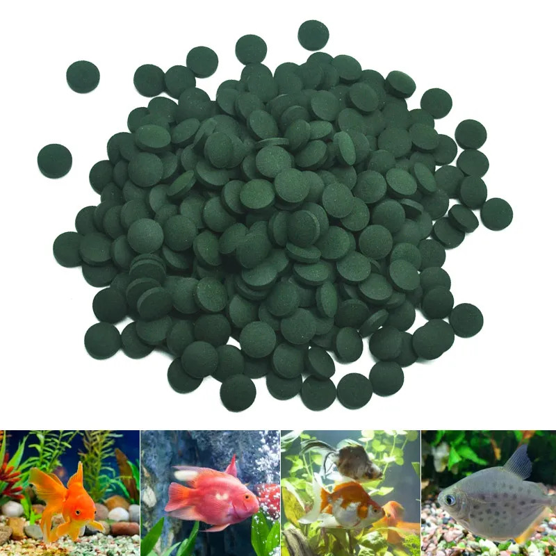 50-300개 고순도 스피룰리나 정제 나선형 해조류 강 - Aquarium Fish Holiday Food 리뷰 및 가격