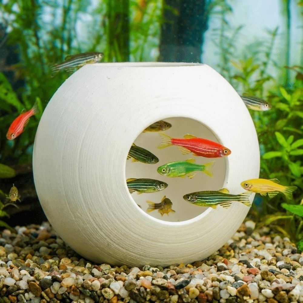 플라스틱 물고기 새우 은신처 구형 3D 프린팅된 물고기 - Aquarium Fish Discus 리뷰 및 가격