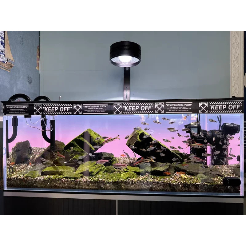 RGB 아크릴 어항 배경 화려한 그라데이션 발광 APP - Aquarium Fish Colour 리뷰 및 가격