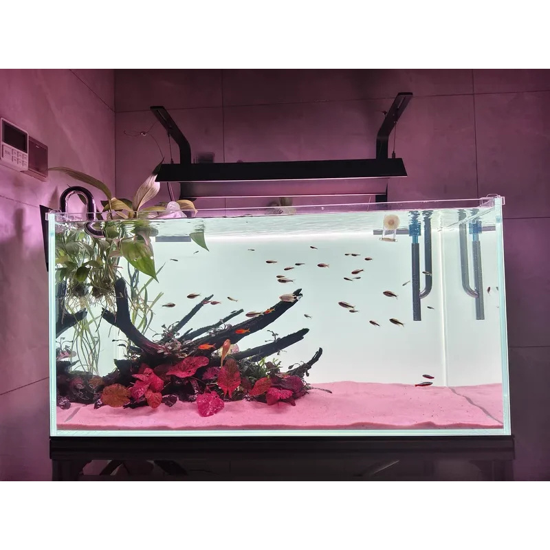 RGB 아크릴 어항 배경 화려한 그라데이션 발광 APP - Aquarium Fish Colour 리뷰 및 가격