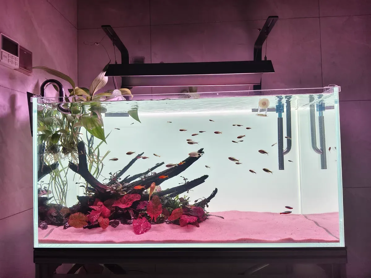 RGB 아크릴 어항 배경 화려한 그라데이션 발광 앱 제 - Aquarium Fish Colour 리뷰 및 가격
