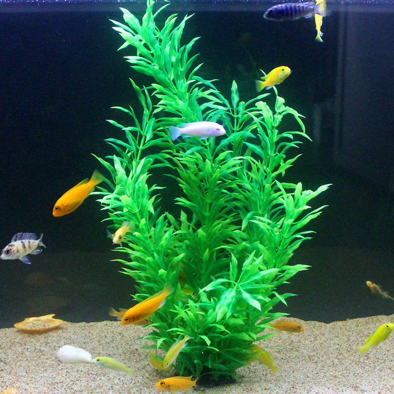 50CM 인조 어항 희귀 식물 수족관 가짜 대나무 잎  - Aquarium Fish Types 리뷰 및 가격