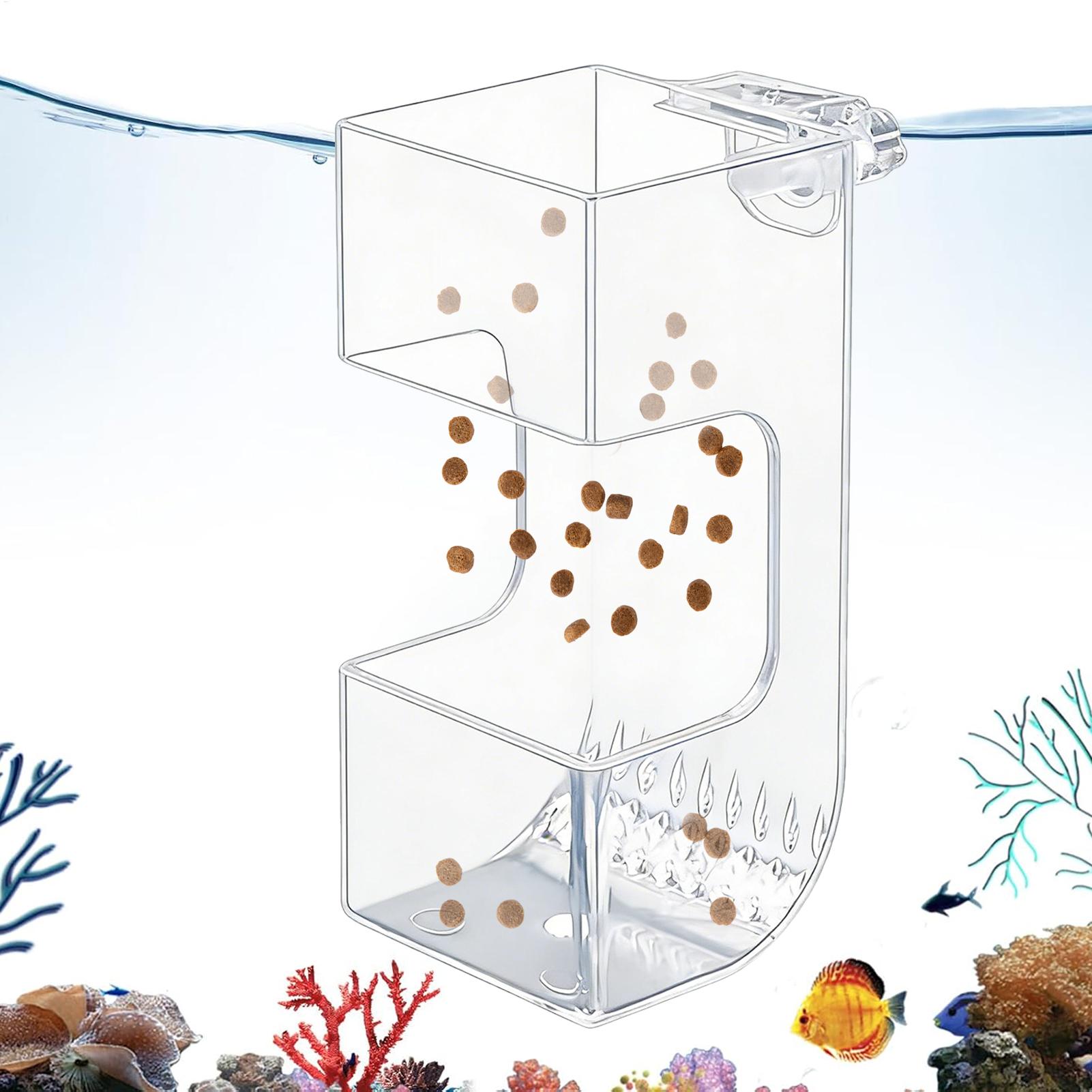 어항 물고기 먹이통 투명 사료통 물고기 먹이통 접시 그 - Aquarium Fish Holiday Food 리뷰 및 가격