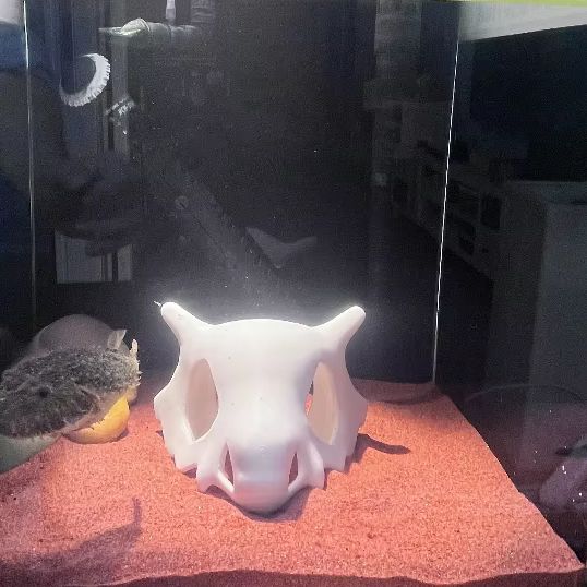 3D 프린트 물고기 새우 파충류 은신처 동굴, 애니메이 - Aquarium Fish Hideout 리뷰 및 가격